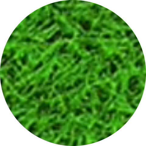 Grass print texture on EVA foam tatami mat
